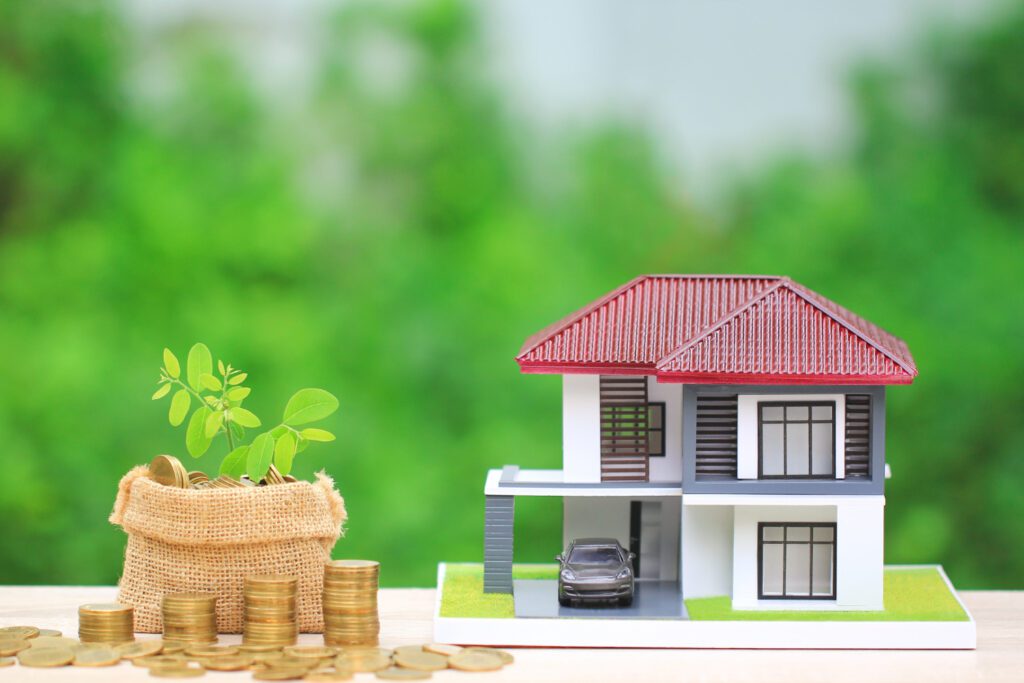 loans for low income