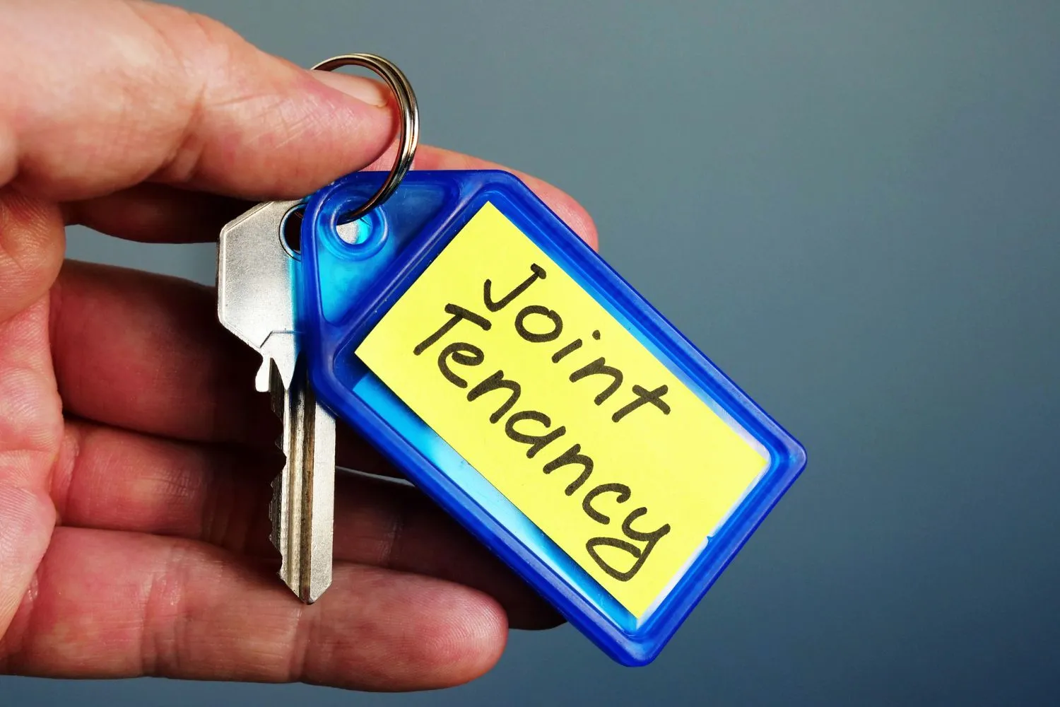 tenants in common vs joint tenancy tenants in common vs joint tenancy